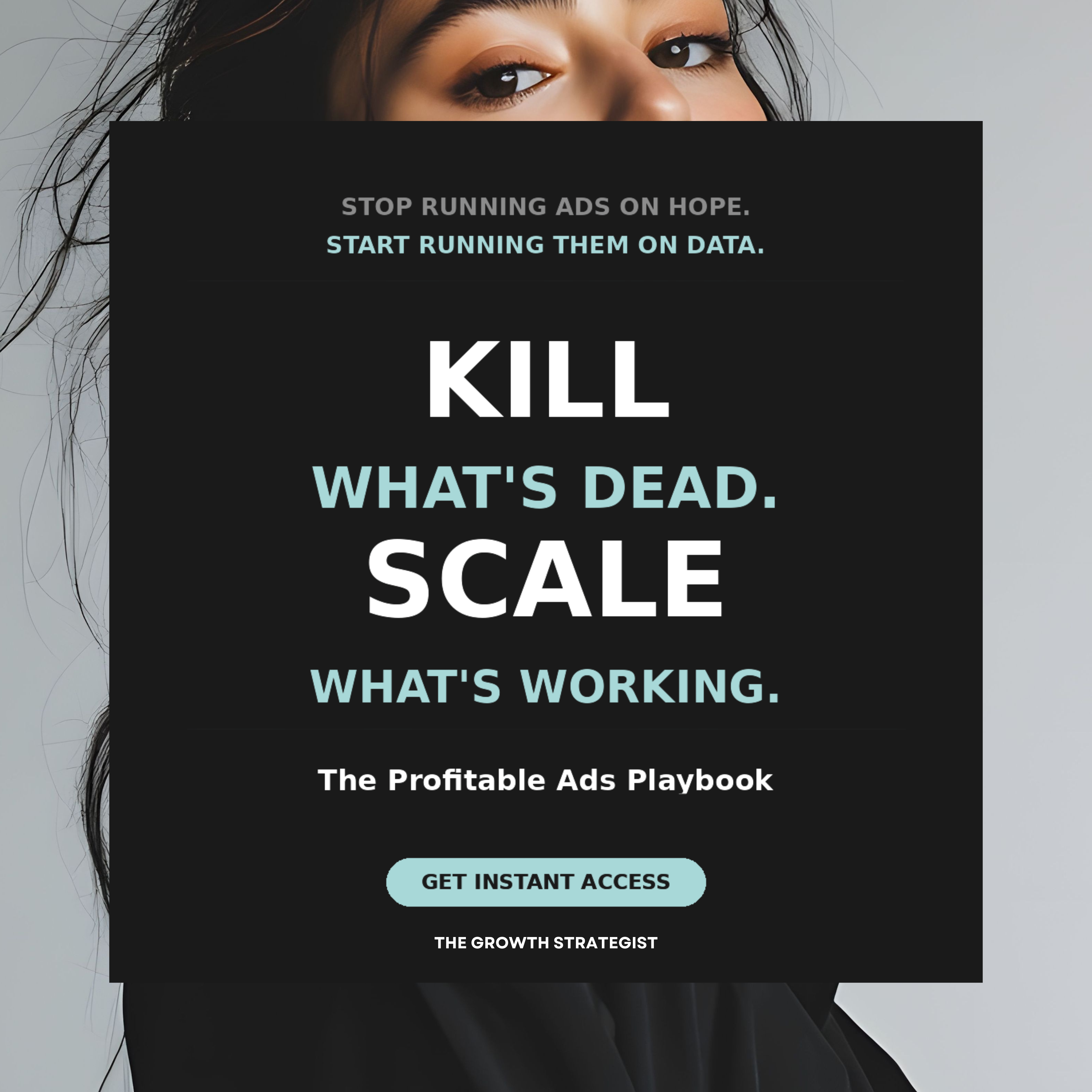 The Profitable Ads Playbook